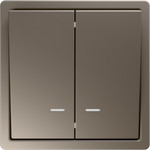 Выключатель двухклавишный с LED подсветкой Jasmart FD 10А/250В, тауп матовый soft touch, Jasmart